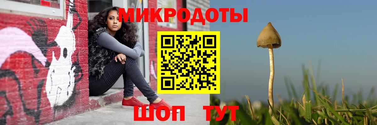 Воскресенск  Галлюциногенные грибы Psilocybine cubensis  Вход с VPN 